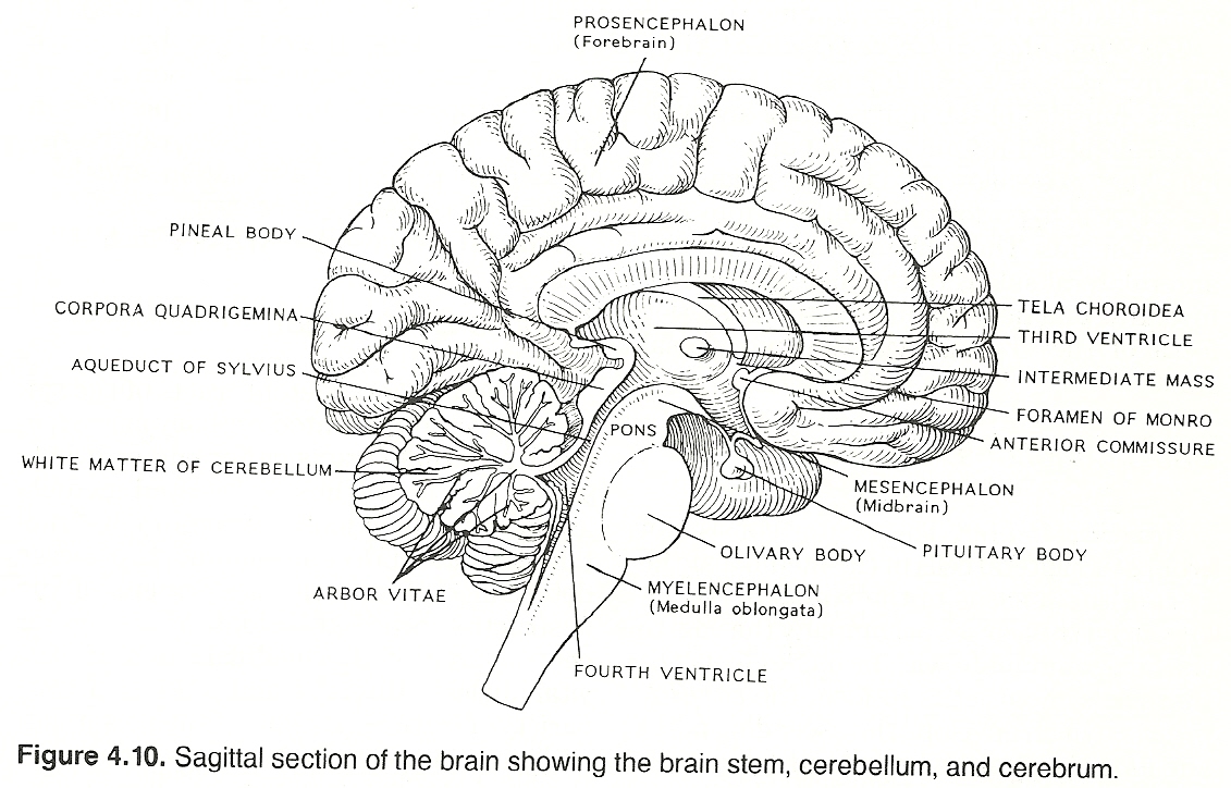 Basic Considerations