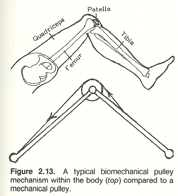 Pulley Systems