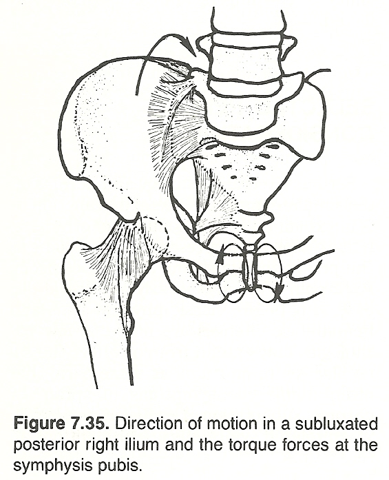 s sign erichsen s pelvic rock test gaenslen s test hibb s test mennell ...