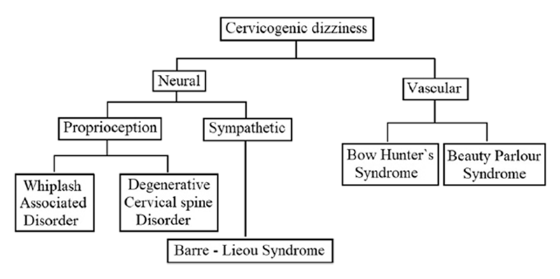 Approach to Cervicogenic Dizziness: A Comprehensive Review of its Aetiopathology and Management